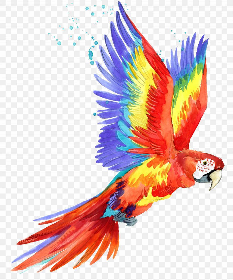 Parrot Macaw Bird Image Illustration, PNG, 5000x6000px, Parrot, Beak, Bird, Common Pet Parakeet, Crossstitch Download Free