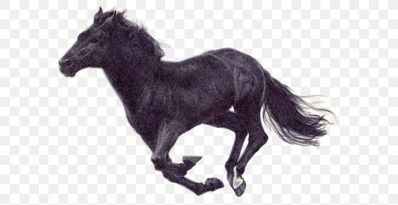 Pony Mustang American Paint Horse Mane Stallion, PNG, 600x423px, Pony, American Paint Horse, Animal, Animal Figure, Drawing Download Free