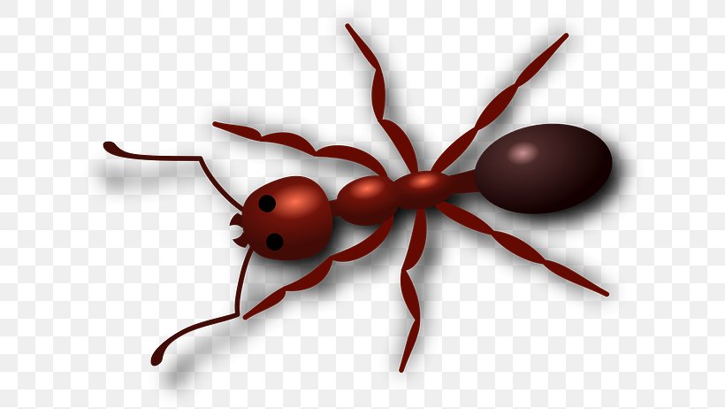 Ant Insect Clip Art, PNG, 640x462px, Ant, Arthropod, Display Resolution, Document, Insect Download Free