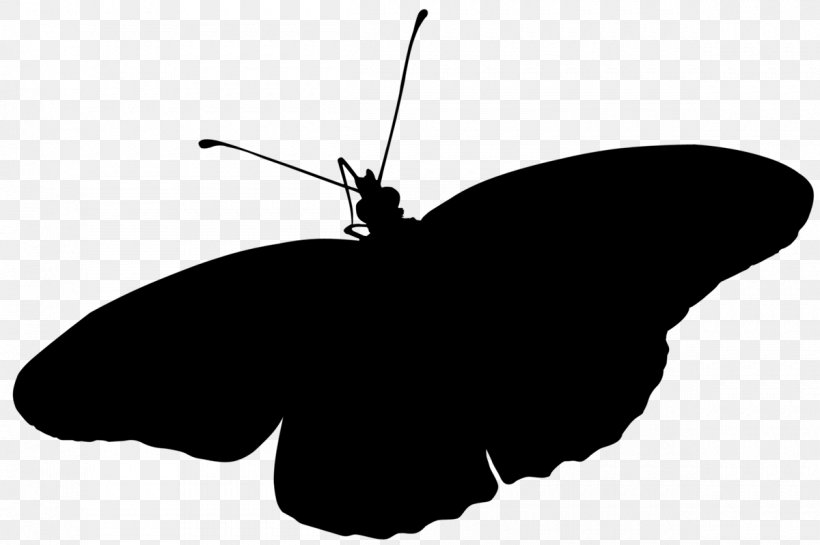 Brush-footed Butterflies Insect Clip Art Silhouette Line, PNG, 1200x799px, Brushfooted Butterflies, Blackandwhite, Butterfly, Insect, Invertebrate Download Free