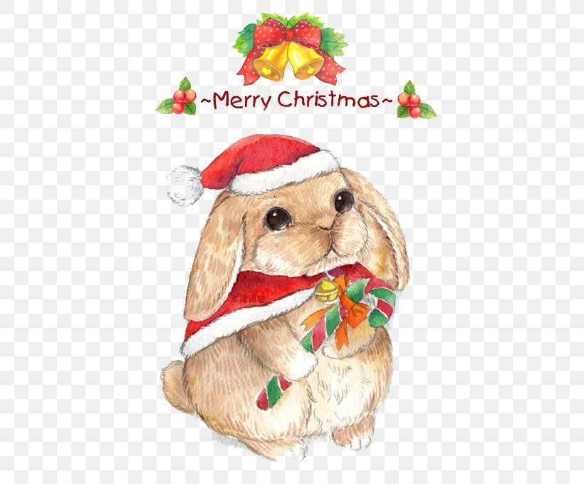 Christmas Eve Rabbit Cuteness, PNG, 480x679px, Christmas, Cartoon, Child, Christmas Decoration, Christmas Eve Download Free