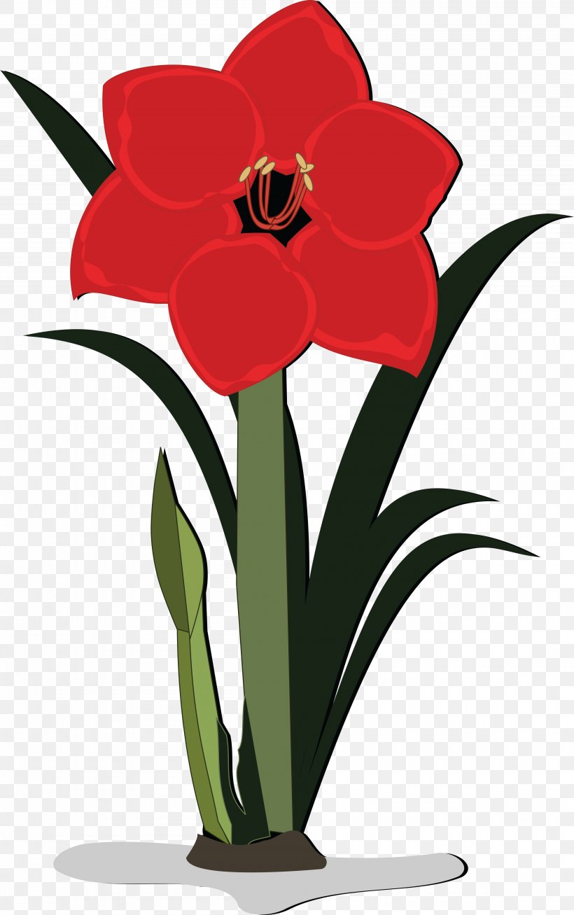 Flower Jersey Lily Clip Art, PNG, 4000x6376px, Flower, Amaryllis, Amaryllis Belladonna, Amaryllis Family, Cut Flowers Download Free