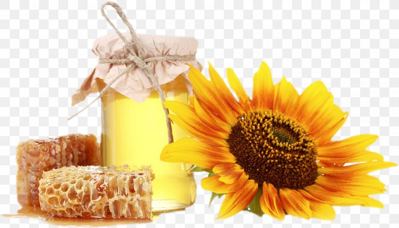 Honey Bee Honeycomb Vegetarian Cuisine, PNG, 900x515px, Bee, Buckwheat, Calendula, Creamed Honey, Flower Download Free