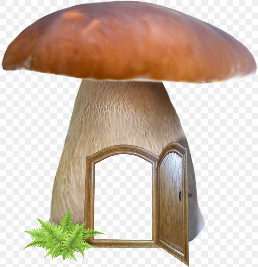 Mushroom Penny Bun Edible Mushroom Bolete Agaricomycetes, PNG, 2567x2661px, Mushroom, Agaricaceae, Agaricomycetes, Agaricus, Bolete Download Free