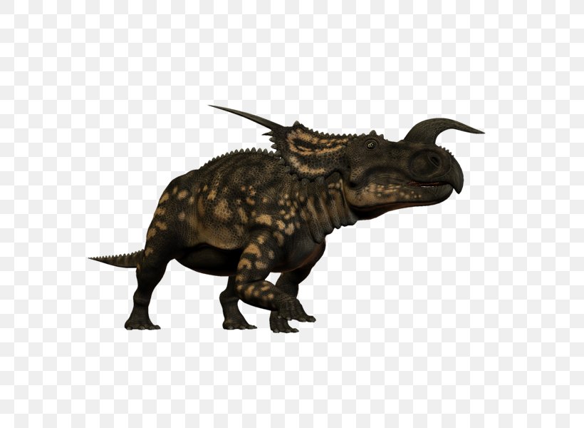 Tyrannosaurus Dinosaur Einiosaurus PhotoScape, PNG, 800x600px, Tyrannosaurus, Animal, Dinosaur, Einiosaurus, Gimp Download Free