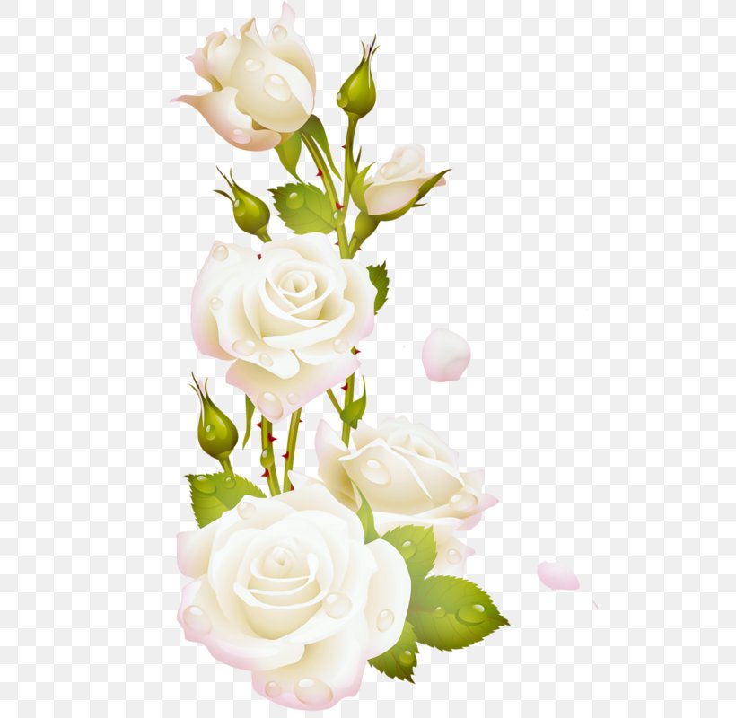 Garden Roses Cabbage Rose Cut Flowers, PNG, 512x800px, Garden Roses, Aculi, Artificial Flower, Cabbage Rose, Cut Flowers Download Free