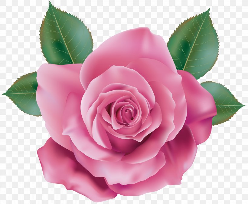 Rose Pink Quartz, PNG, 6000x4937px, Rose, Art, Artificial Flower, Camellia, China Rose Download Free