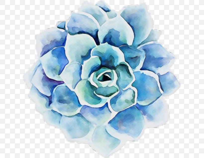 Rose, PNG, 637x639px, Watercolor, Aqua, Blue, Flower, Flowering Plant Download Free
