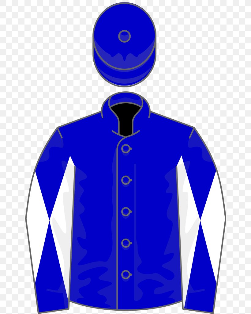 Thoroughbred National Hunt Chase Challenge Cup Epsom Derby Horse Racing, PNG, 656x1024px, Thoroughbred, Alexandrova, Blue, Brand, Cobalt Blue Download Free