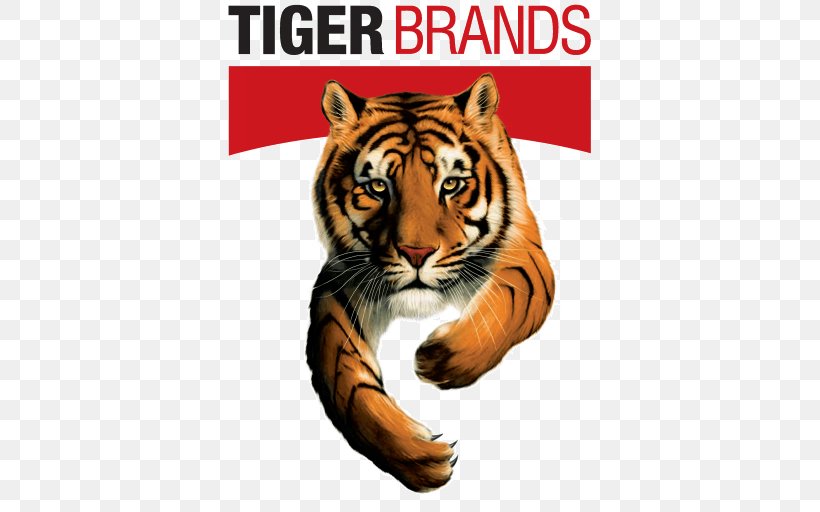 2017–18 South African Listeriosis Outbreak Tiger Brands Chief Executive, PNG, 512x512px, South Africa, Big Cats, Carnivoran, Cat Like Mammal, Chief Executive Download Free