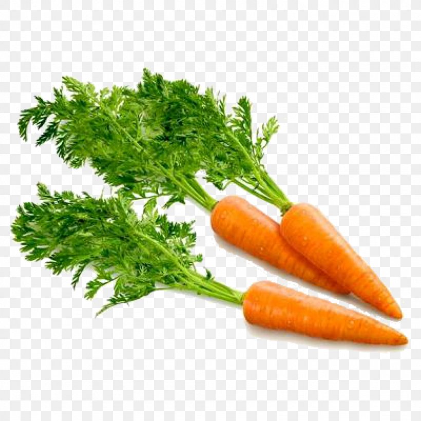 Carrot Clip Art, PNG, 1024x1024px, Carrot, Baby Carrot, Diet Food, Food, Image Resolution Download Free