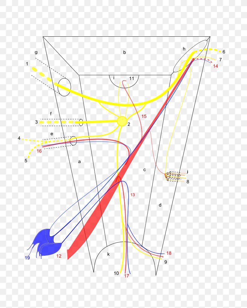Product Design /m/02csf Drawing Line Point, PNG, 724x1024px, Drawing, Area, Point, Symmetry, Triangle Download Free