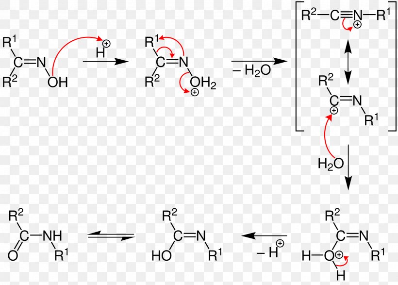 Beckmann Rearrangement Rearrangement Reaction Amide Hofmann Rearrangement Chemical Reaction, PNG, 1920x1376px, Beckmann Rearrangement, Acid, Acid Catalysis, Amide, Amine Download Free