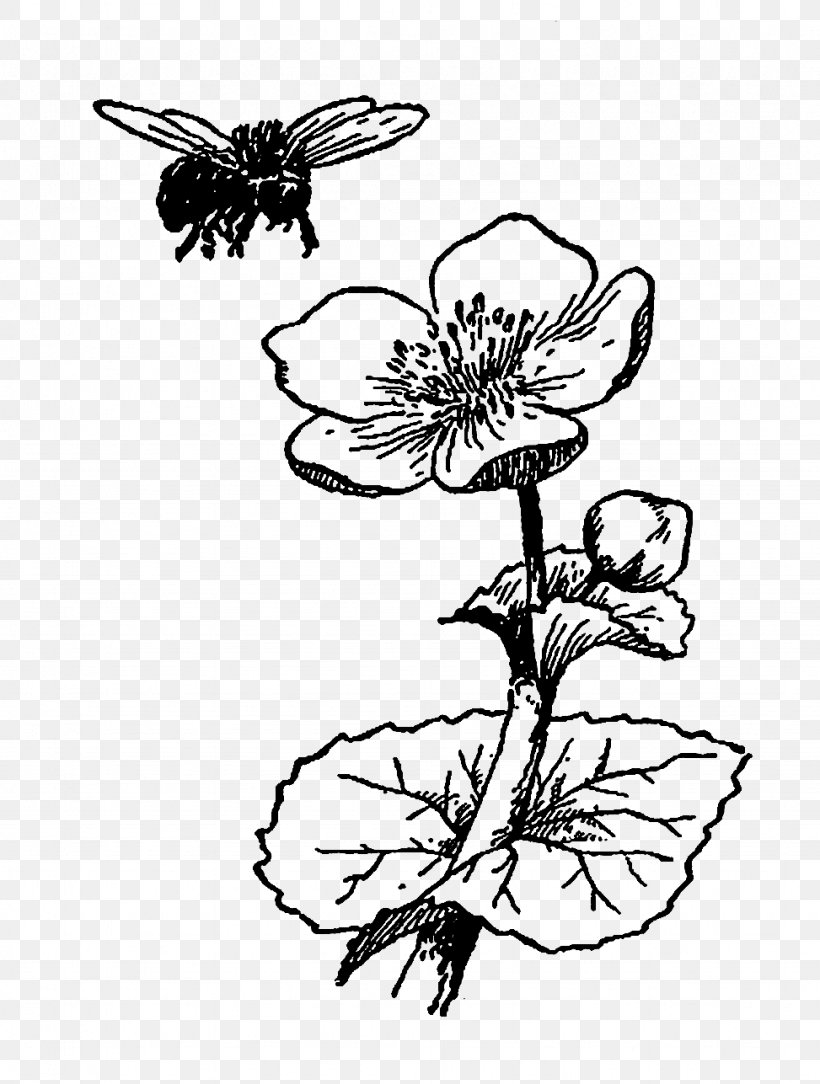 Bee Flower Drawing Black And White, PNG, 973x1287px, Bee, Art, Artwork, Black And White, Botanical Illustration Download Free