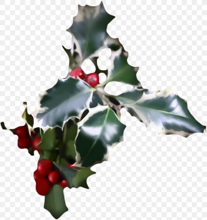 Christmas Holly Ilex Holly, PNG, 1300x1382px, Christmas Holly, American Holly, Christmas, Christmas Decoration, Flower Download Free