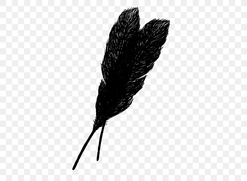 Feather Archaeopteryx, PNG, 600x600px, Feather, Archaeopteryx, Black And White, Blog, Copying Download Free