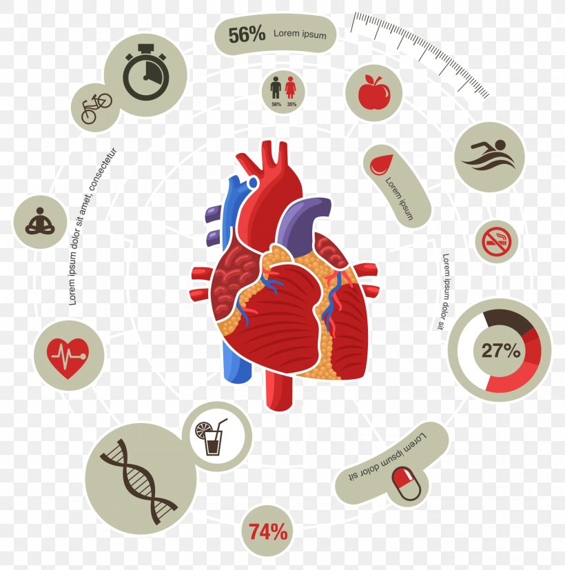 Myocardial Infarction Heart Cardiovascular Disease Symptom, PNG, 1560x1575px, Myocardial Infarction, American Heart Association, Cardiac Muscle, Cardiovascular Disease, Disease Download Free