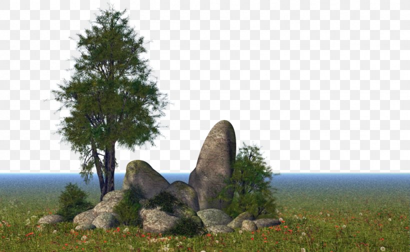 Nature Tree Rock Natural Landscape Biome, PNG, 1139x701px, Nature, Biome, Grass, Landscape, Meadow Download Free