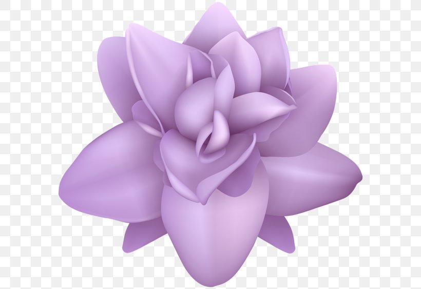 Image Clip Art Transparency Petal, PNG, 600x563px, Petal, Flower, Image Resolution, Leaf, Lilac Download Free