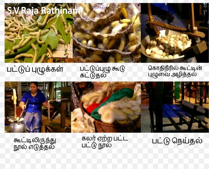 Silk Thread Weaving Karur தமிழர் நெசவுக்கலை, PNG, 1535x1238px, Silk, Cotton, Cuisine, Dish, Food Download Free