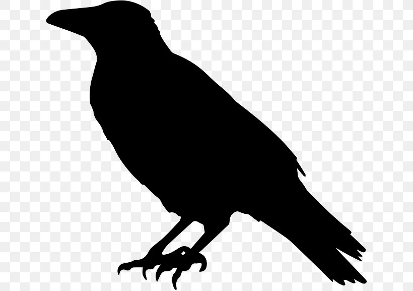 Common Raven Crow Clip Art, PNG, 640x577px, Common Raven, American Crow, Beak, Bird, Black And White Download Free