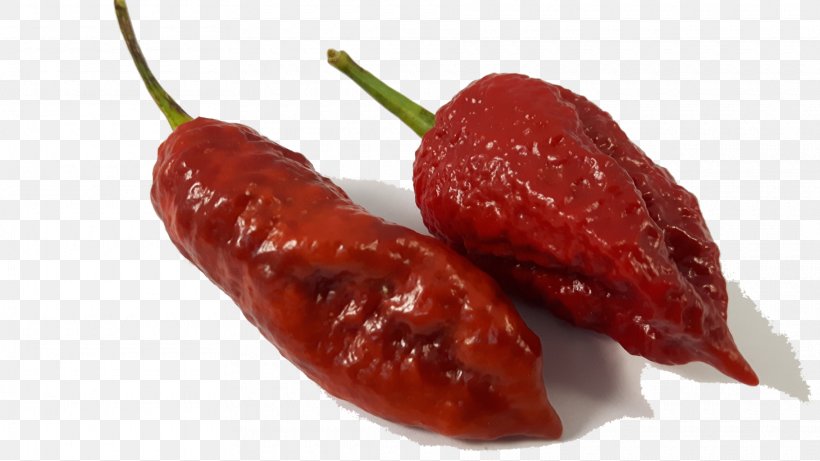 Habanero Piquillo Pepper Chile De árbol Bird's Eye Chili Tabasco Pepper, PNG, 1820x1024px, Habanero, Bell Peppers And Chili Peppers, Capsicum Annuum, Cayenne Pepper, Chili Pepper Download Free
