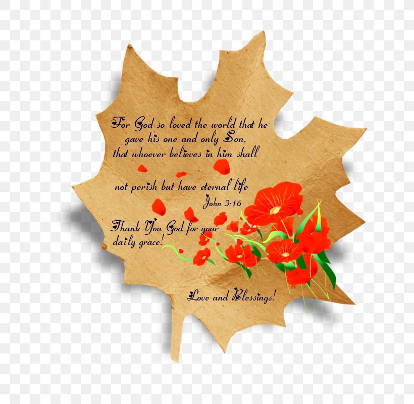 Maple Leaf Font, PNG, 764x800px, Maple Leaf, Leaf, Maple, Tree Download Free