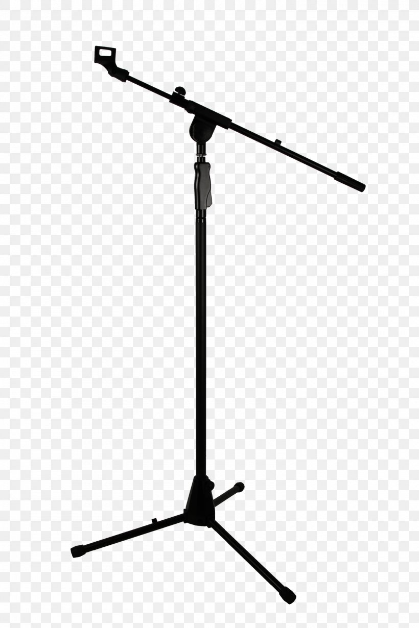 Microphone Stands Sound Loudspeaker Audio, PNG, 1500x2250px, Watercolor, Cartoon, Flower, Frame, Heart Download Free
