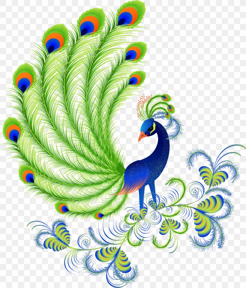 Peafowls, Peacocks And Peahens. Including Facts And Information About Blue, White, Indian And Green Peacocks. Breeding, Owning, Keeping And Raising Peafowls Or Peacocks Covered. Bird Feather Clip Art, PNG, 1213x1421px, Peafowl, Asiatic Peafowl, Beak, Bird, Breed Download Free