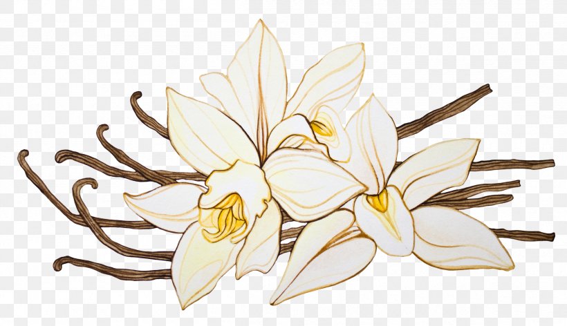 Vanilla Orchids Aroma Hot Chocolate Flower, PNG, 2409x1387px, Vanilla Orchids, Arabica Coffee, Aroma, Art, Artwork Download Free
