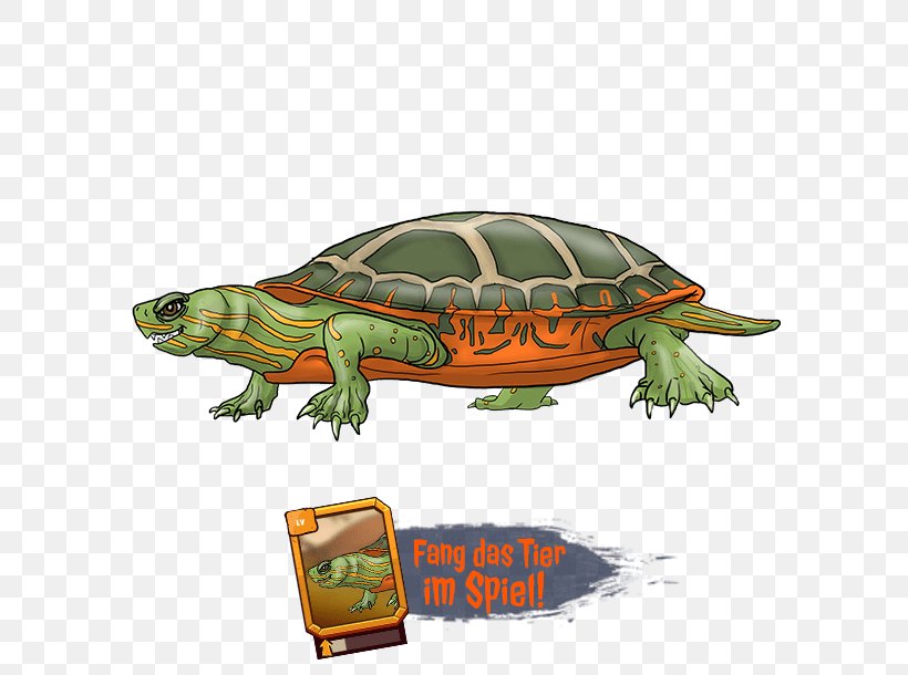 Box Turtles &Co. The Originals Tortoise Fauna, PNG, 610x610px, Box Turtles, Box Turtle, Co The Originals, Emydidae, Fauna Download Free