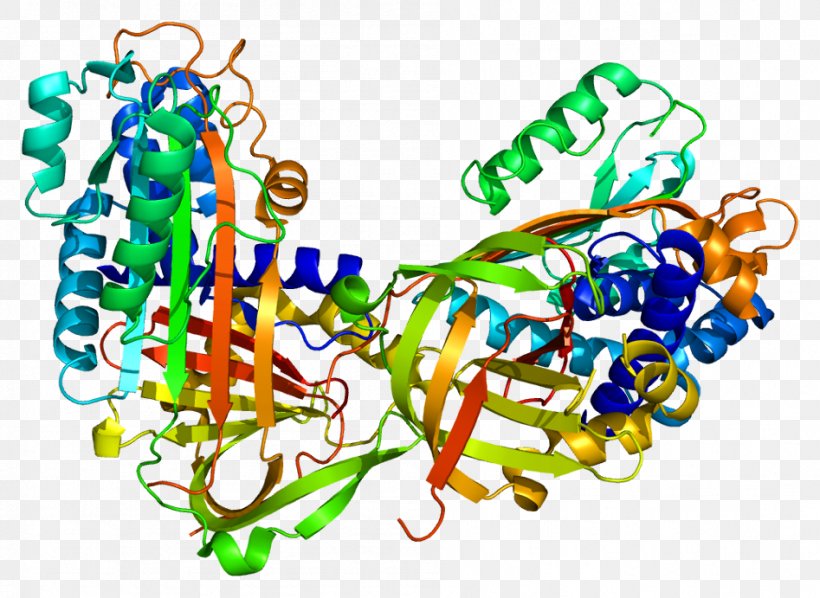 Maspin Serpin Protein Structure Serine Protease, PNG, 947x691px, Watercolor, Cartoon, Flower, Frame, Heart Download Free
