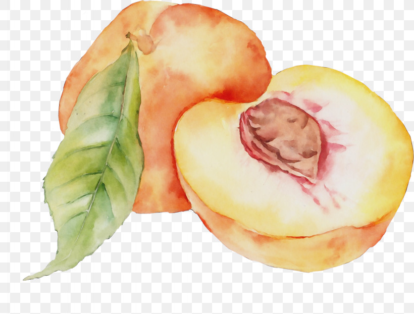 Peach Food Plant Fruit Watercolor Paint, PNG, 2048x1555px, Watercolor, Food, Fruit, Paint, Peach Download Free