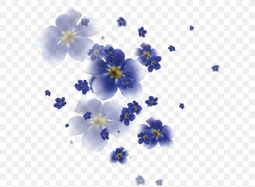 Flower Petal Desktop Wallpaper Leaf, PNG, 600x603px, Flower, Blossom, Blouse, Blue, Borage Family Download Free