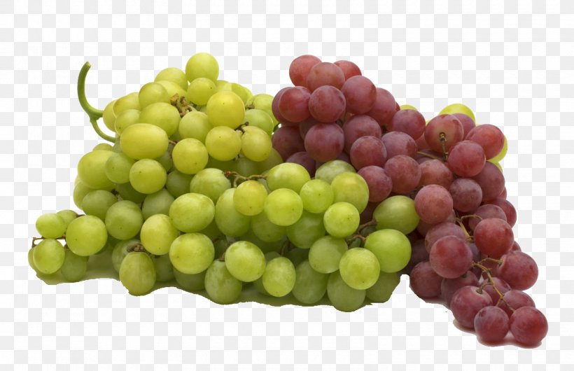 Grape Seed Oil Food Fruit Flavor, PNG, 1600x1035px, Grape, Berry, Carbohydrate, Fat, Flavor Download Free