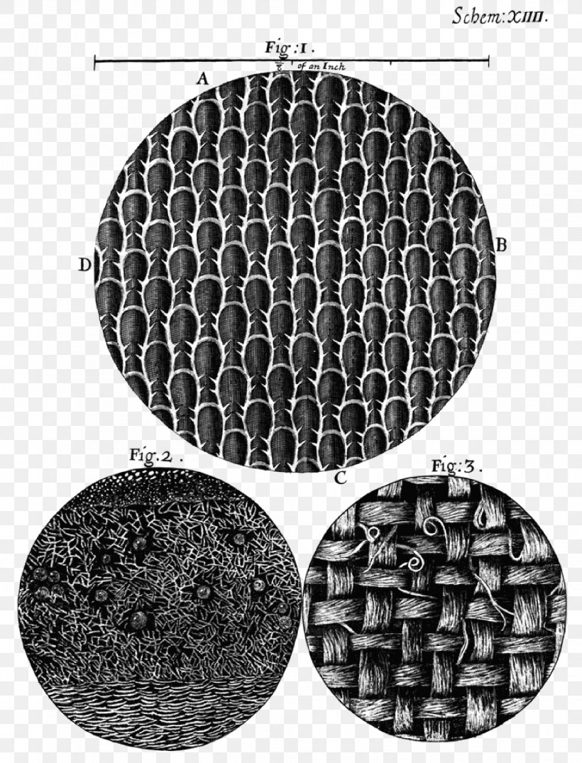 Micrographia Or Some Physiological Descriptions Of Minute Bodies Flustra Foliacea The Curious Life Of Robert Hooke: The Man Who Measured London Philosophical Experiments And Observations, PNG, 2017x2645px, Micrographia, Biology, Black And White, Book, Flea Download Free