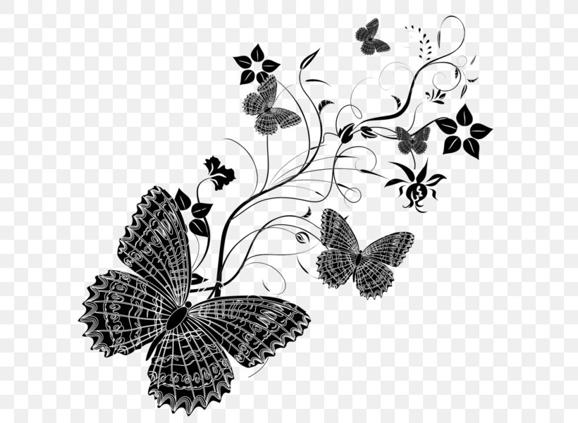 Monarch Butterfly Vector Graphics Illustration Image, PNG, 600x600px, Butterfly, Arthropod, Audience, Black And White, Borboleta Download Free