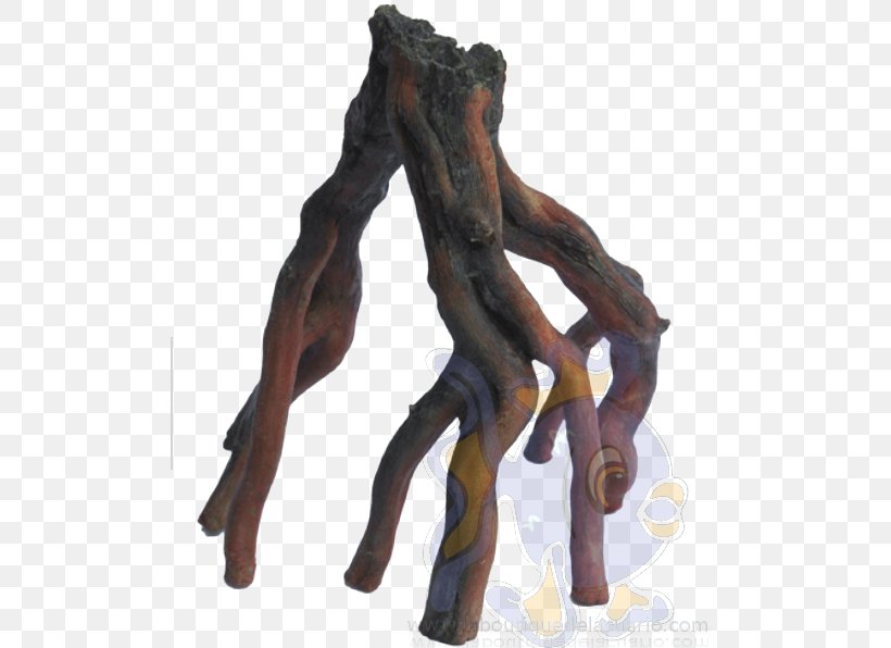 Root Trunk Mangrove Tree Terrarium, PNG, 506x596px, Root, Aquarium, Centimeter, Fish, Mangrove Download Free