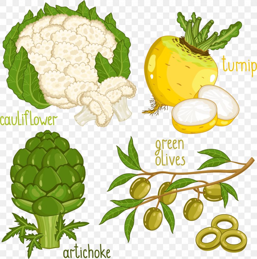 Vegetable Food Illustration, PNG, 1124x1135px, Organic Food, Artichoke, Avocado, Beetroot, Cauliflower Download Free