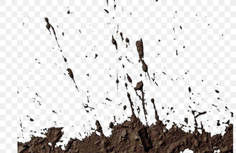 Boot Willi-Wood, Die Holzmanufaktur Mud, PNG, 800x533px, Boot, Branch, Clay, Mud, Photography Download Free