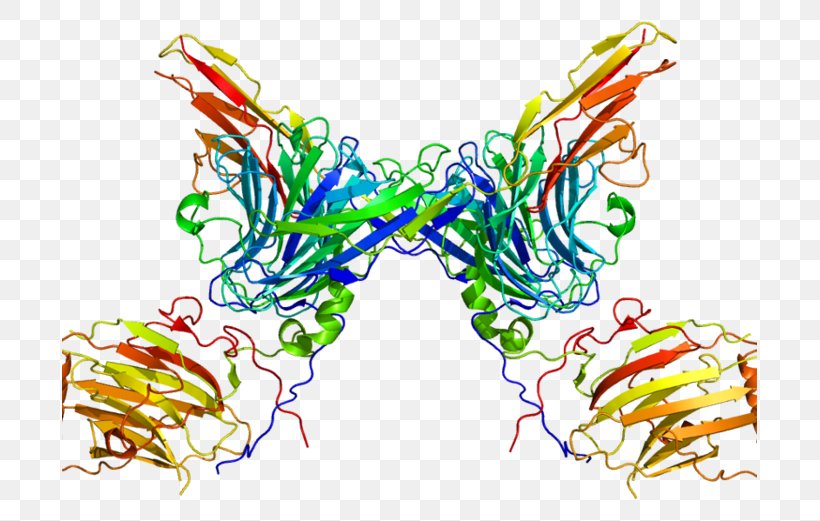 AXL Receptor Tyrosine Kinase Protein Kinase, PNG, 695x521px, Tyrosine Kinase, Art, Axl Receptor Tyrosine Kinase, Cell, Cell Membrane Download Free