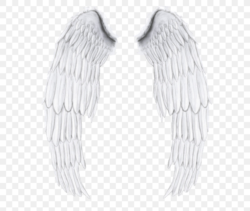 Feather, PNG, 640x692px, Wing, Angel, Earrings, Feather Download Free