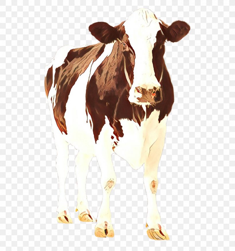 Holstein Friesian Cattle Calf Dairy Cattle Highland Cattle Jersey ...