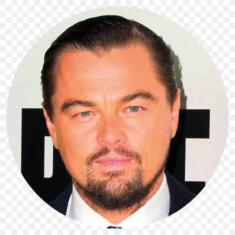 Leonardo DiCaprio Django Unchained Calvin Candie Actor Film Producer, PNG, 940x940px, Leonardo Dicaprio, Actor, Beard, Celebrity, Chin Download Free