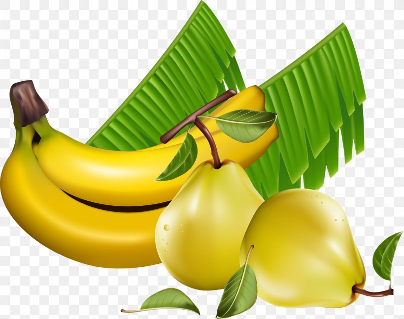 Pear Fruit Vector Graphics Clip Art Banana, PNG, 1500x1186px, Pear, Banana, Banana Family, Citrus, Cooking Plantain Download Free