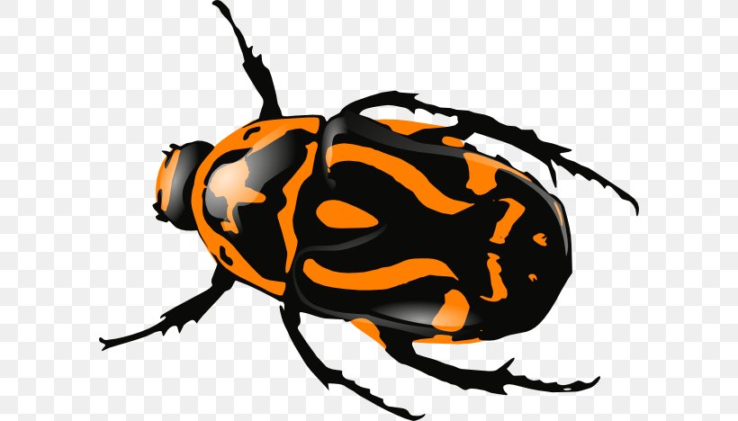 Beetle Download Clip Art, PNG, 600x468px, Beetle, Arthropod, Artwork, Dung Beetle, Free Content Download Free