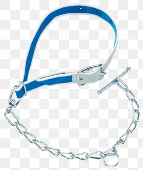 Cattle Calf Agriculture Leash Weidezaun PNG