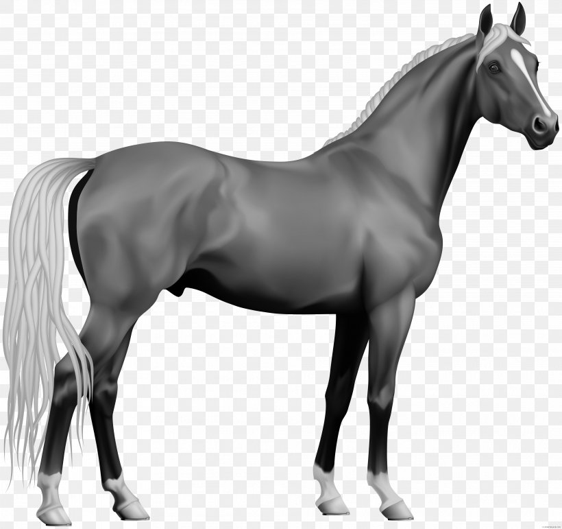 Clip Art Appaloosa Andalusian Horse Pony Openclipart, PNG, 3829x3604px, Appaloosa, Andalusian Horse, Bay, Black, Black And White Download Free