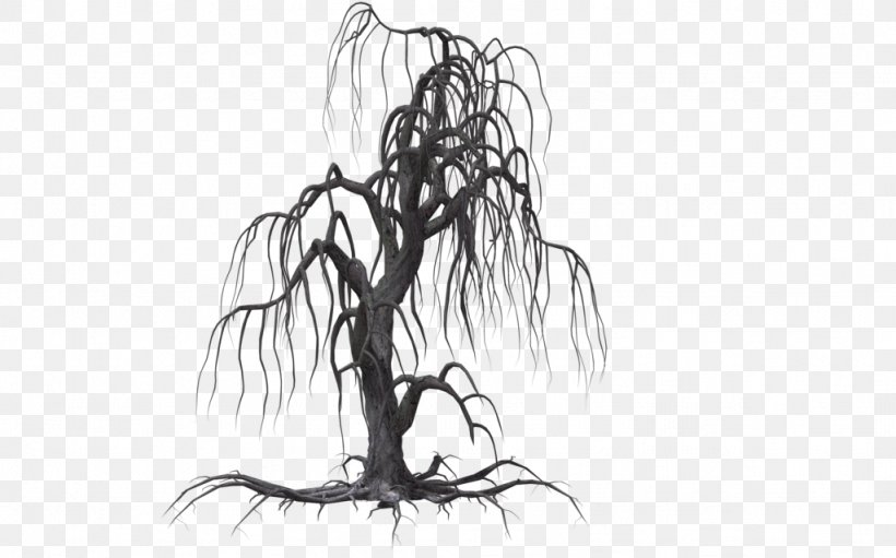Tree Drawing Willow Clip Art, PNG, 1024x639px, Tree, Artwork, Black And White, Blog, Branch Download Free