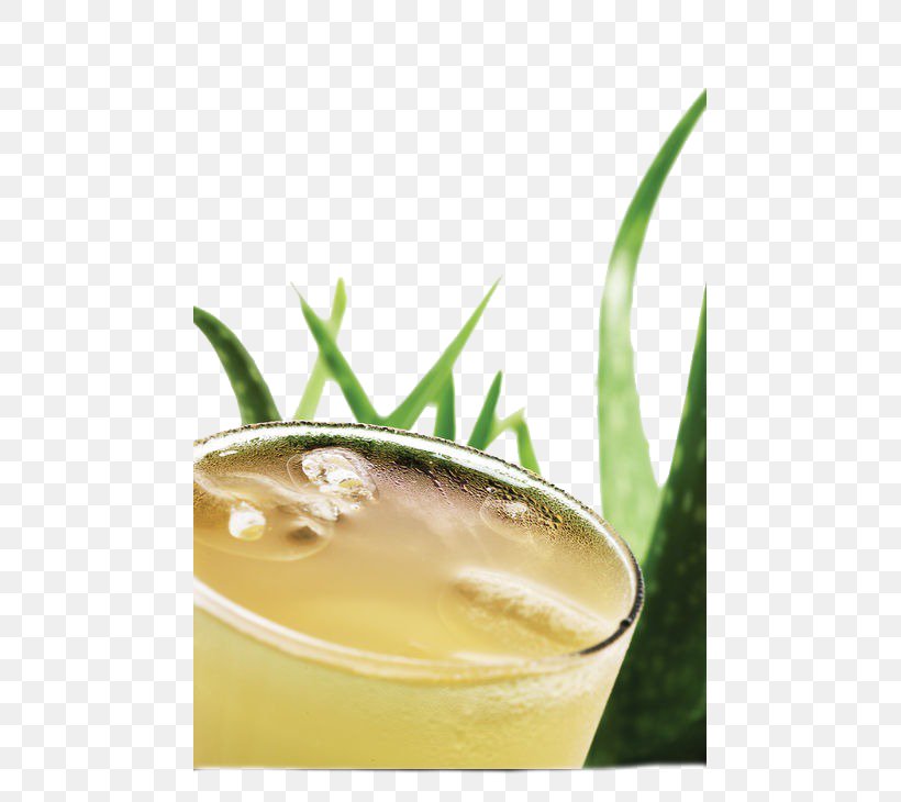 Aloe Vera Juice Gelatin Dessert, PNG, 467x730px, Aloe Vera, Aloe, Bottle, Cocktail, Cocktail Garnish Download Free